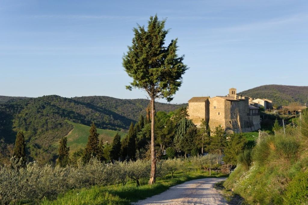 Umbria Nel Cuore Cannara Exteriör bild
